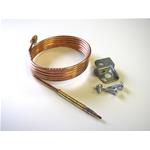 625681 TERMOCOPIA V2 DAL 2006