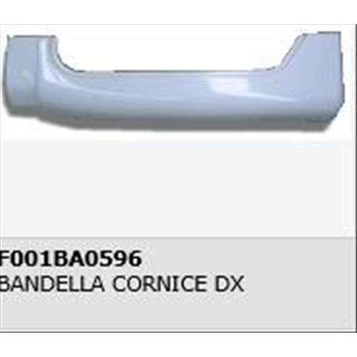 BANDELLA SOTTOGAVONE POSTERIORE DX  F001BA0596