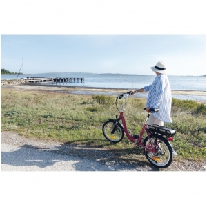 BICICLETTA ELETTRICA PIEGHEVOLE CONFORT PLUS 20P 13A NERA