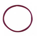 GUARNIZIONE SCARICO FUMI COMBI 40X2.5MM 110 3401.057