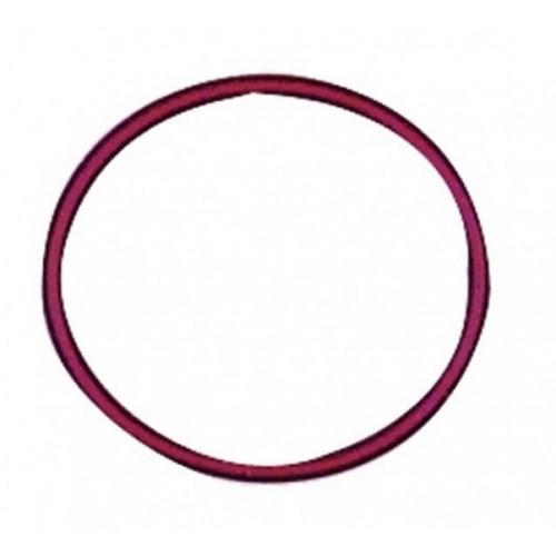 GUARNIZIONE SCARICO FUMI COMBI 40X2.5MM 110 3401.057